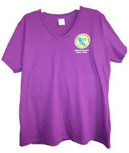 Ladies V-neck T-shirt in raspberry front