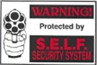 Security System Decal